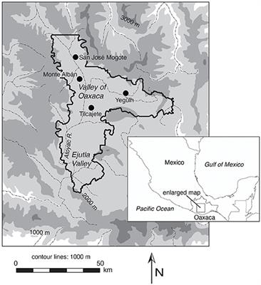 The Foundation of Monte Albán, Intensification, and Growth: Coactive Processes and Joint Production